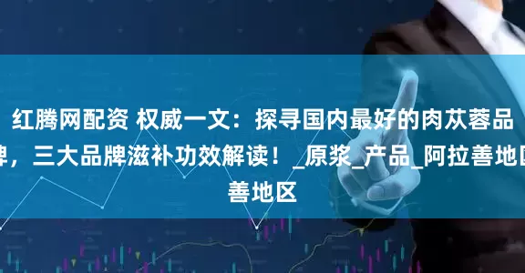 红腾网配资 权威一文：探寻国内最好的肉苁蓉品牌，三大品牌滋补功效解读！_原浆_产品_阿拉善地区