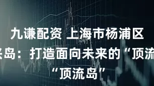 九谦配资 上海市杨浦区复兴岛：打造面向未来的“顶流岛”